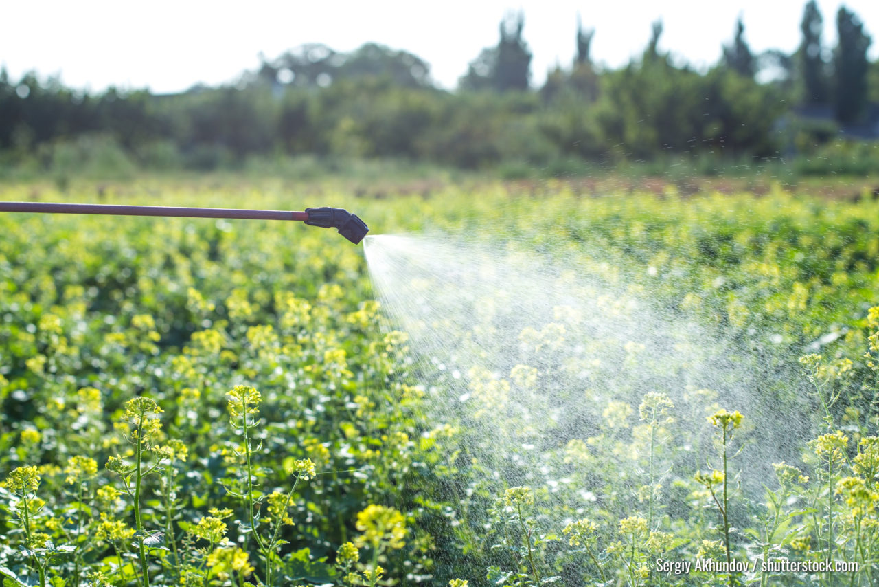 chemical spraying on a field, insect control and disease control on agriculture